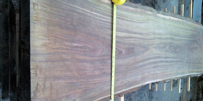 Natural Walnut Slab