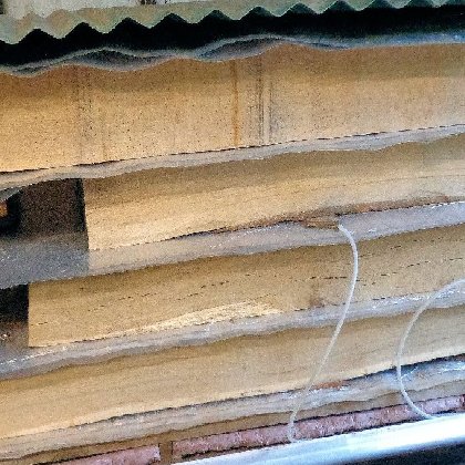 Drying Thick Oak Planks