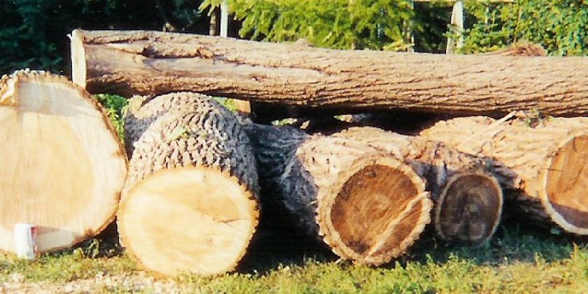 All of our logs are locally sourced in an environmentally sensitive manner.